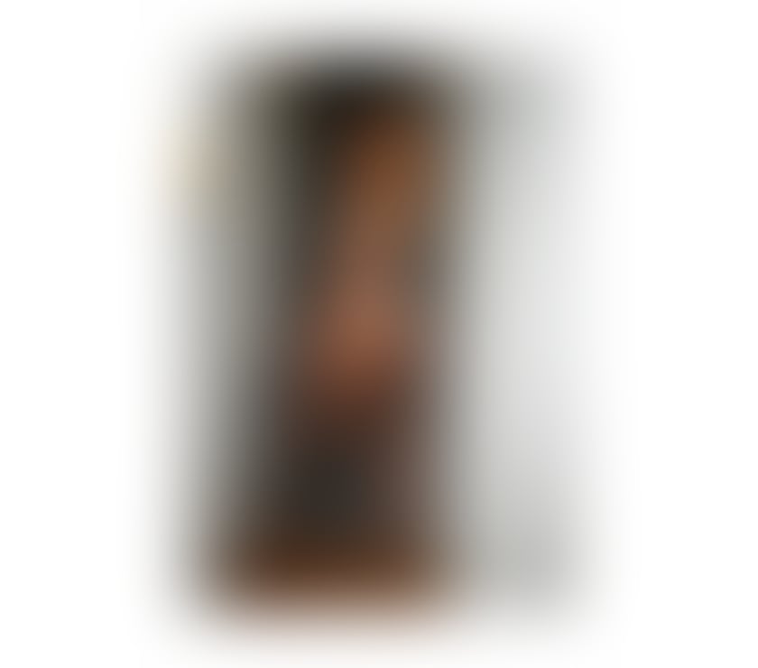 Trans Escorts Leicestershire Leicester - Photos for Anne TS Brazilian