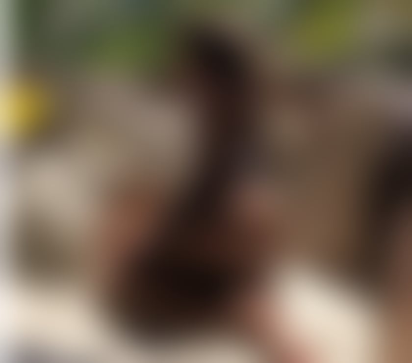 Escorts Greater Manchester Manchester - Photos for Hi I'm Aaliyah - first time in Manchester