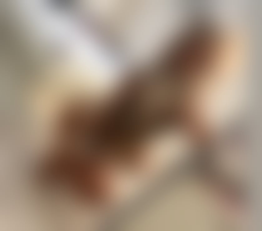 Escorts East London Canning Town - East London - Photos for Mira Wild for U xxx