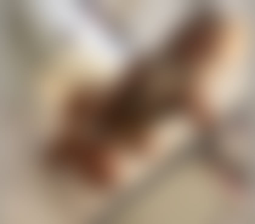 Escorts East London Newham - Photos for Mira Wild 4U xxx