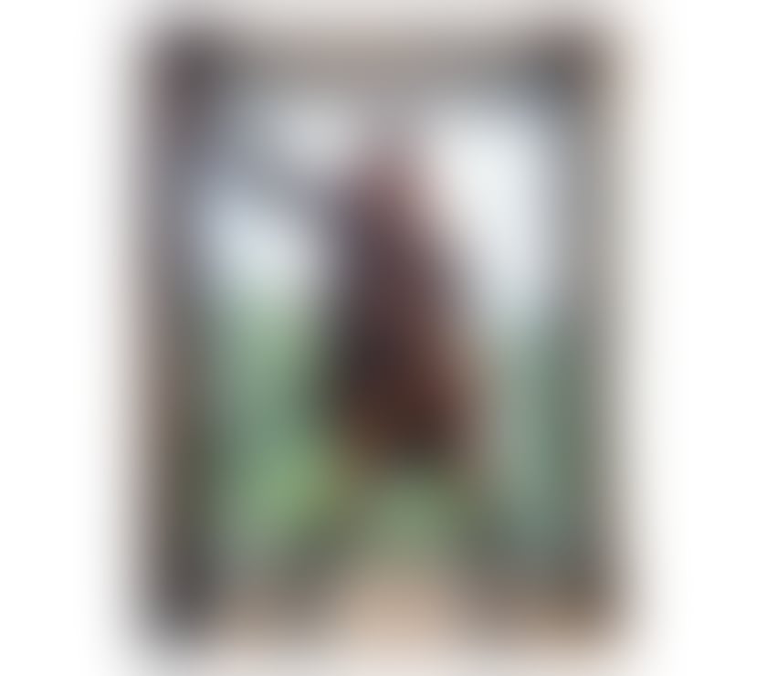 Escorts East London Whitechapel - East London - Photos for Fit & Tanned Awaits For you 💦❤️ ISABELLA