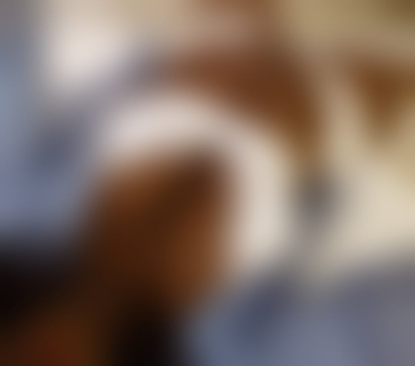 Escorts Central London Fitzrovia - Central London - Photos for Ebony Canadian visiting london now