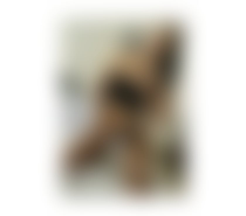 Photos for New Girls Party Eva 🔞😘 Outcall