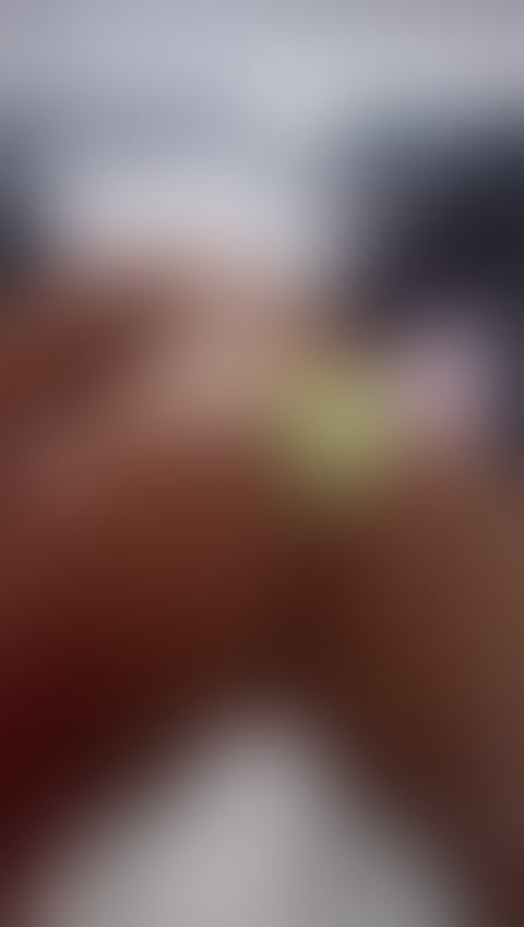 Escorts Brent North Wembley Station - Brent - 