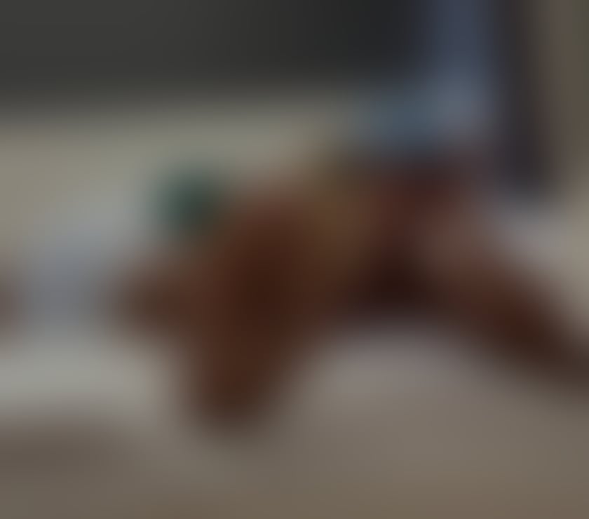  Gay massage Camberwell South East London - Photos for Discreet & friendly guy - available now