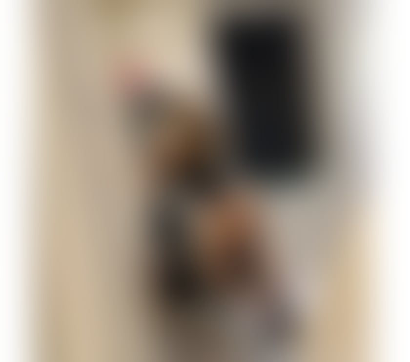 Escorts Warwickshire Nuneaton and Bedworth - Photos for Erika New lady Outcall