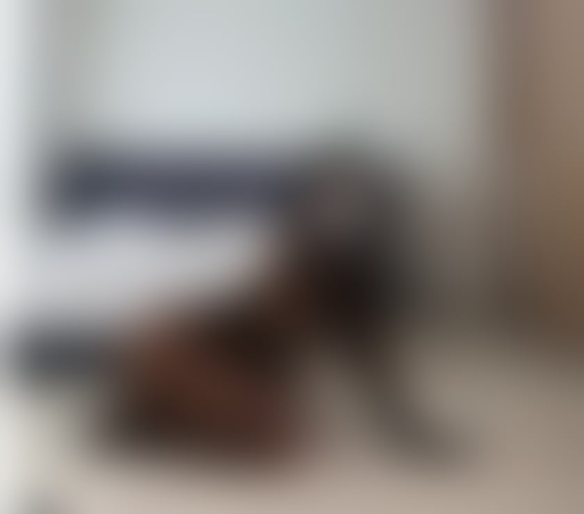 Escorts Aberdeen Torry - Aberdeen - Photos for ✨MELISA💋EXCLUSIVE GIRL💫OUTCALL🔥