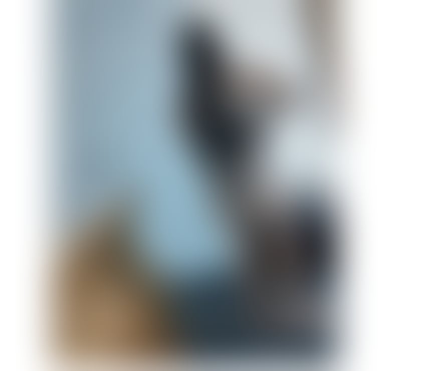 Escorts Norfolk Norwich - Photos for 🥂PARTY ESCORT 🥂❤️OUTCALL incall❤️REAL PICTURES