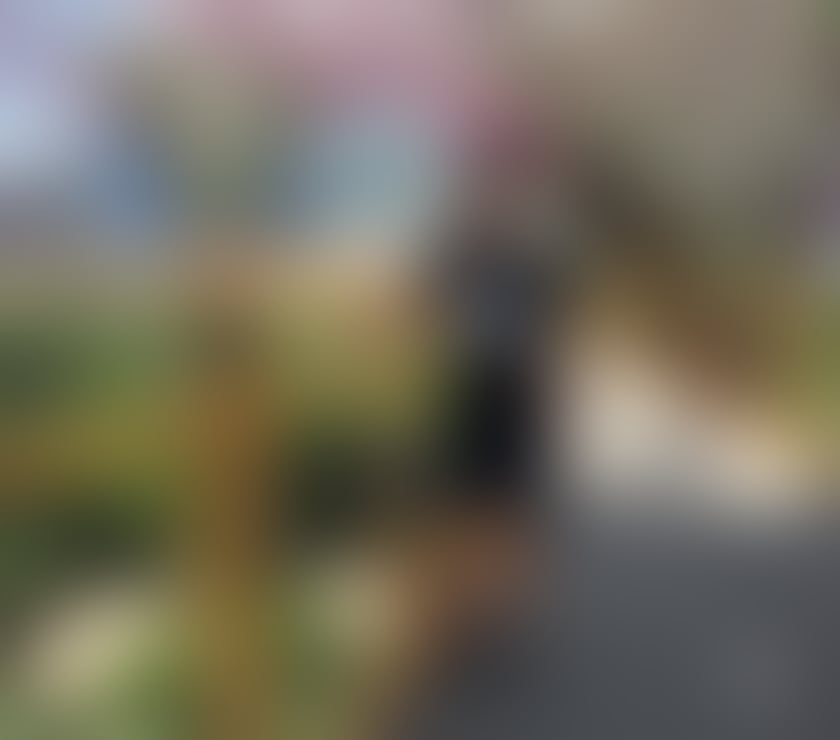 JACK 24 7 Party 🎊👀 INCALL ALSO OUTCALL