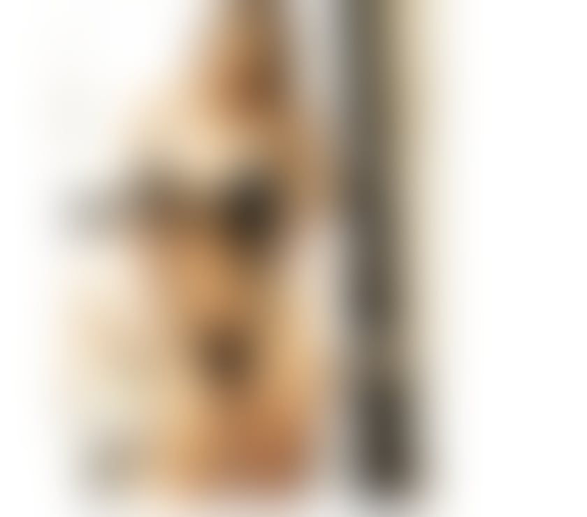 LISA BRAZILIAN 🇧🇷GFE MATURE🫦PARTY GIRL💃NO RUSH