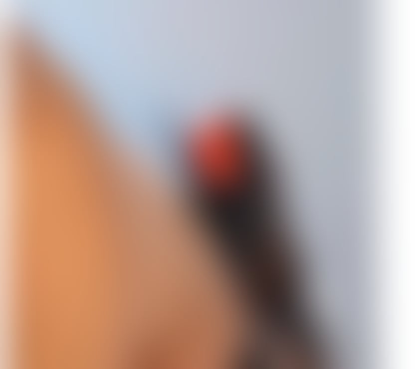 Escorts Highland Inverness - Highland - Photos for 🍾 PLEASURE 💕 FUN 🍾 PARTY 💎 EVERYTHING