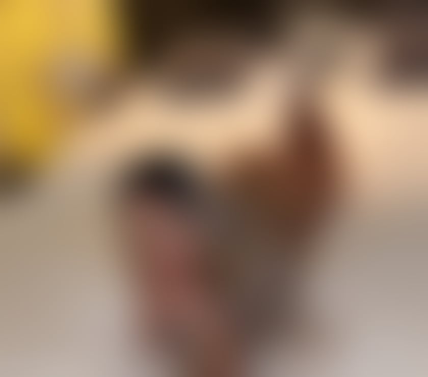 Escorts Lincolnshire East Lindsey - Photos for 🎀BRENDRA-TOP BLONDE ÎN YOU’RE TOWN🎀