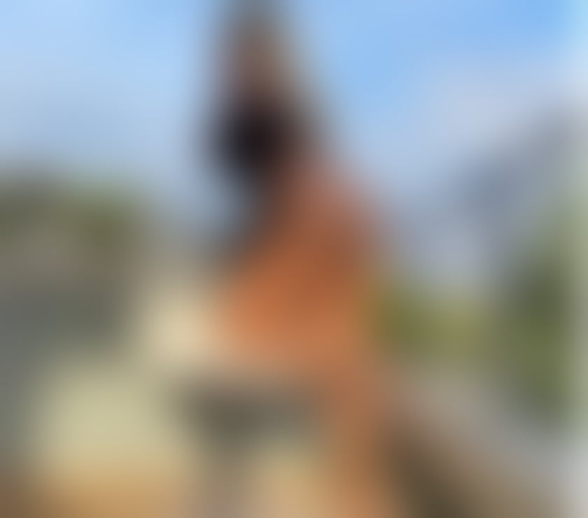 Escorts Surrey Mole Valley - Photos for Hello new in town only out call