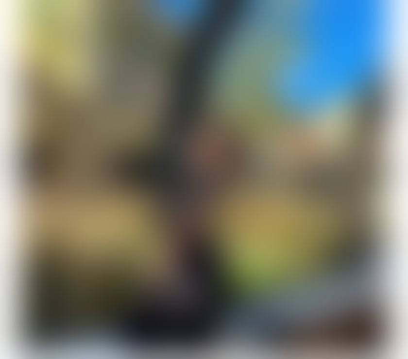 Escorts Hull Hull City Centre - Hull - Photos for 💕💕BELLA❤️❤️CALL ME!!☎️NEW 💕👠👠