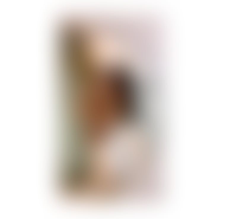 Trans Escorts West Yorkshire Leeds - Photos for New Sexy Alice Ts 🇧🇷✨