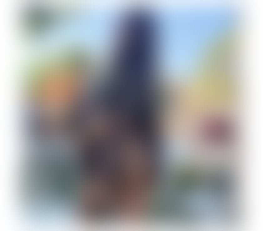 Escorts South East London Camberwell - South East London - Photos for LUXURY DREAM✨GORGEOUS LATINA🔥PRIVATE VIP🥂