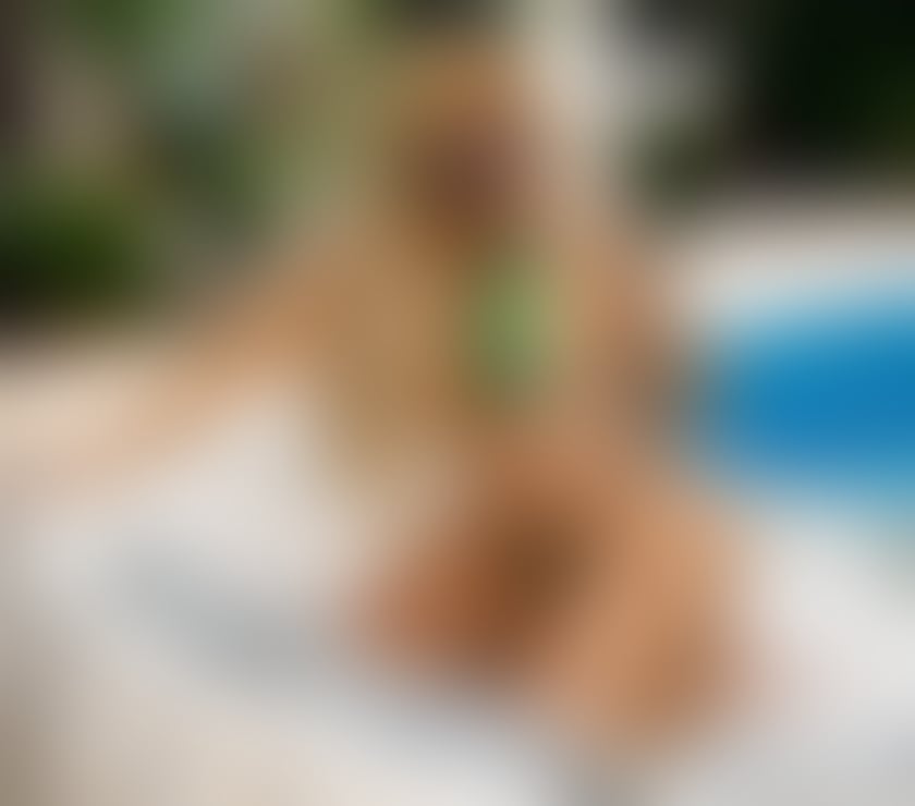 Escorts Buckinghamshire Milton Keynes - Photos for ✨ANGEL VIVARA✨LAST DAYS IN THE CITY🥳🥰HOT GIRL