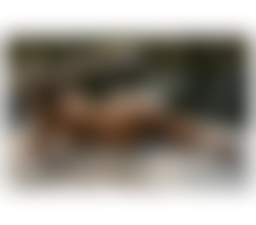 Escorts Barnet High Barnet - Barnet - Photos for 🌹🌸 ENGLISH CURVY SAMANTHA IN BARNET 🩷 Call to book