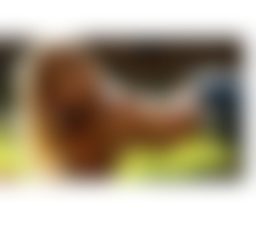 Escorts East London Canary Wharf - East London - Photos for AGATHA🔥NEW CANARY WHARF😈Sweet and sexy