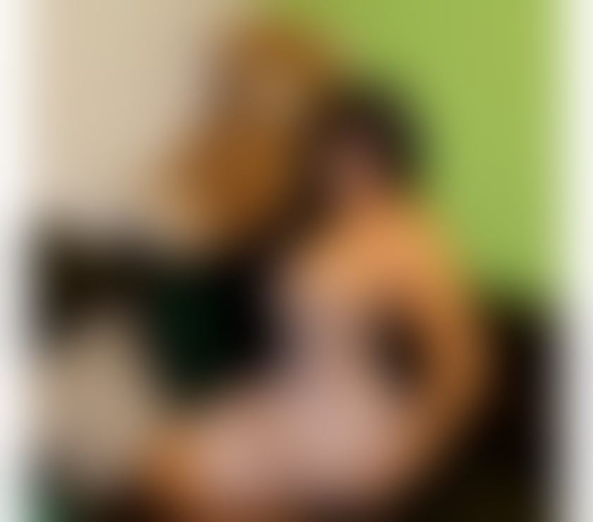 Escorts Gloucestershire Gloucester - Photos for Laura affectionate sexy and delicate 🍒