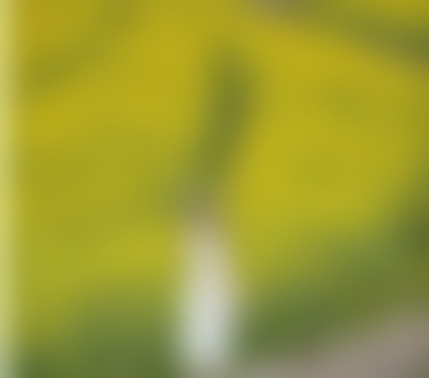 Chinese girl massage in Tollcross