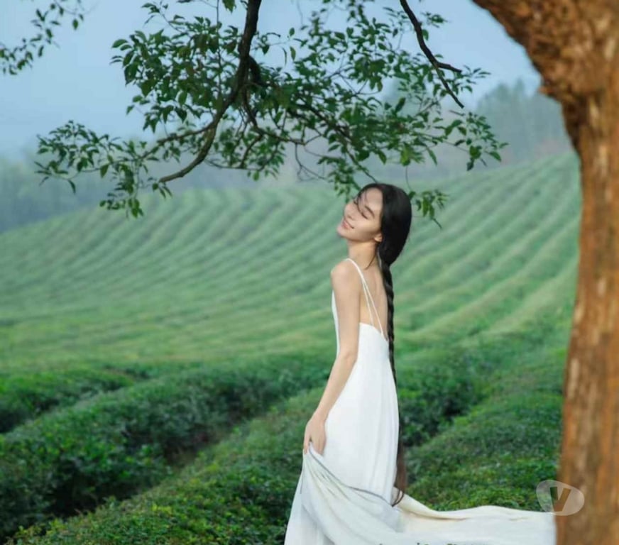 Escorts Glasgow Tollcross - Glasgow - Photos for Chinese girl massage in Tollcross