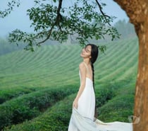 Chinese girl massage in Tollcross