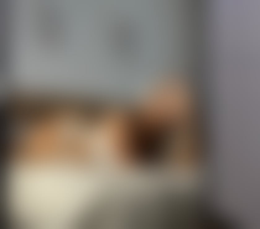 Escorts Aberdeen Altens - Aberdeen - Photos for ✨LENA✨💕HOT💕100% INDEPENDENT🌹