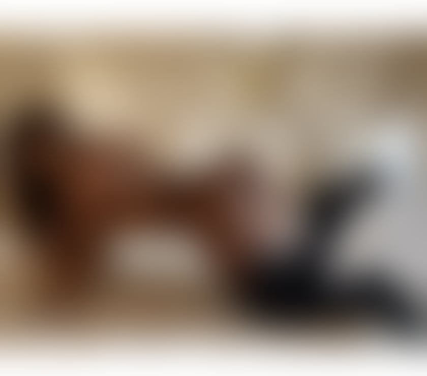 Trans Escorts Belfast Ormeau - Belfast - Photos for 📸Antonella 1.81🔥 7.5 Reasons to Visit Me💥☎️