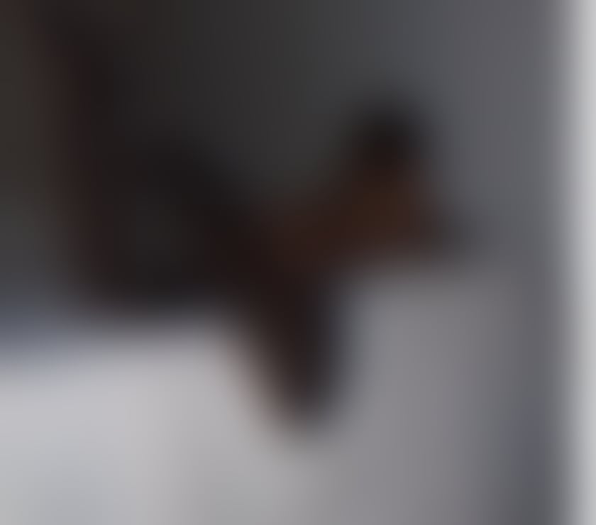 Trans Escorts East Sussex Brighton - Photos for TS Ladyboy Jasmine Brighton and Hove now ❤️ ❤️