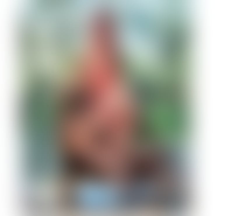 Trans Escorts South West London Sutton - Photos for BRAZILIAN SEXY TRANS