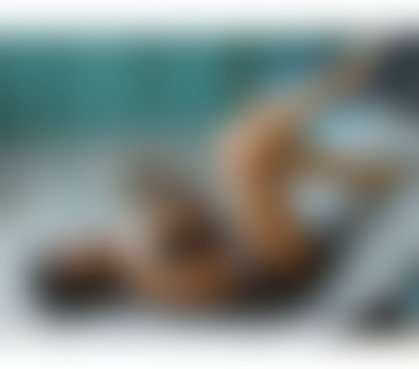 Escorts Camden Town Camden - Photos for Luxury Body-to-Body & Tantric Massage Experience in Camden