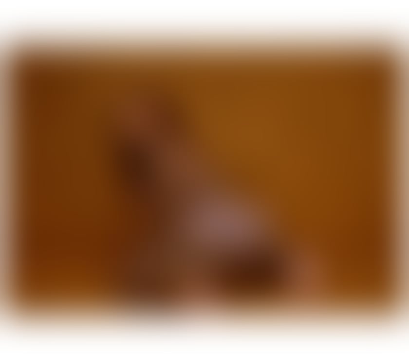 Trans Escorts Aberdeen Aberdeen City Centre - Aberdeen - Photos for BBC BLACK ANHEL