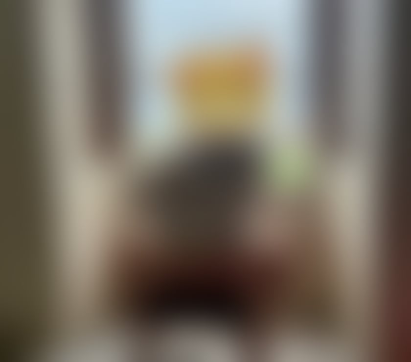 Escorts Devon Plymouth - Photos for Young british red head girl looking for fun.