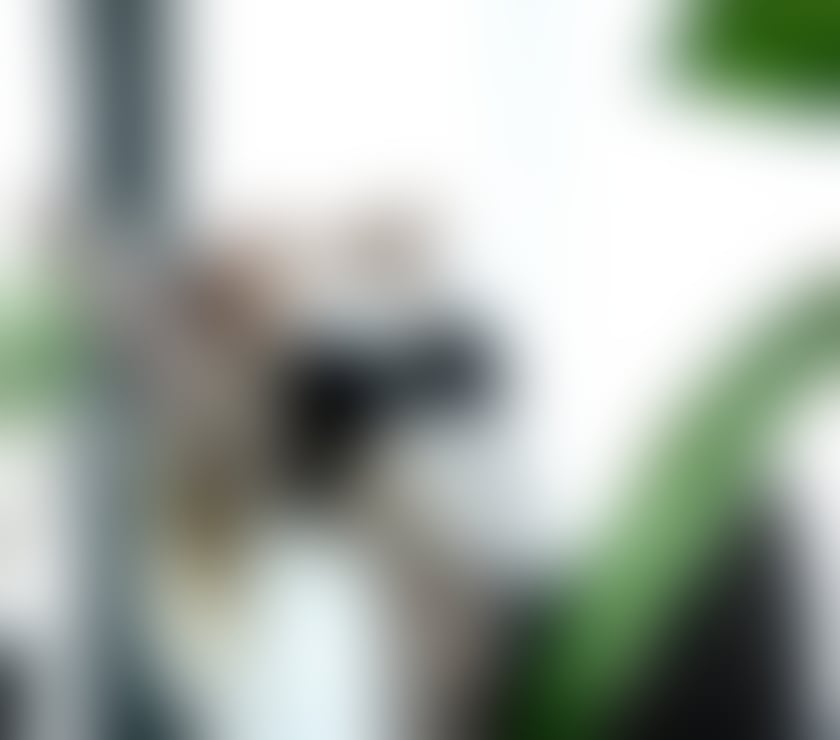 Escorts East London Redbridge - Photos for Stunning Isabel