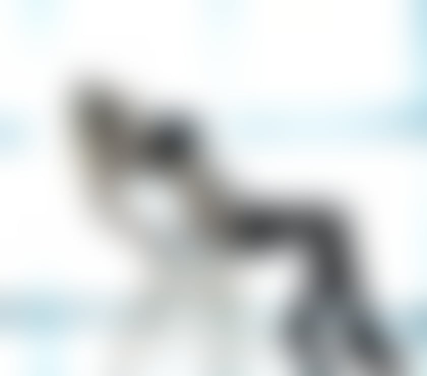 Escorts North West London Harrow - Photos for Stunning Isabel