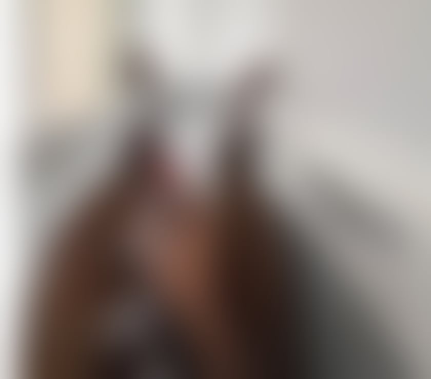 Caribbean BBC available now