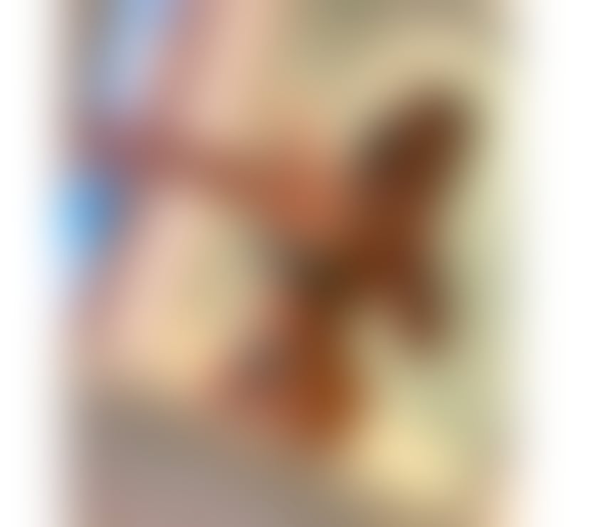 Escorts King`s Lynn King's Lynn and West Norfolk - Photos for ❤️‍🔥 Hot New Girl In Town❤️‍🔥