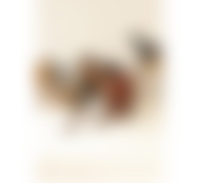 Trans Escorts South Yorkshire Sheffield - Photos for 💦👅 Kim | black BBC 👅💦