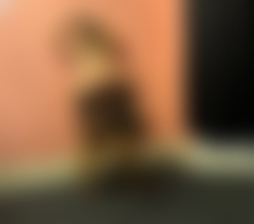 Escorts Bexley Bexleyheath - Bexley - Photos for Amira real photos 100% and party girl 😘😘😘