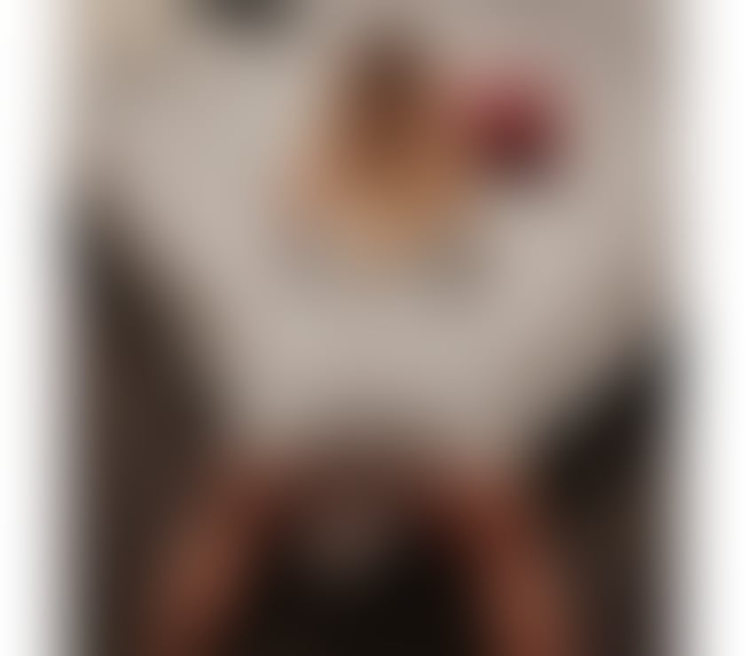 Escorts Devon Torbay - Photos for ❤️😘HELLO I M JULYA BEST SERVICE FOR YOU❤️😘