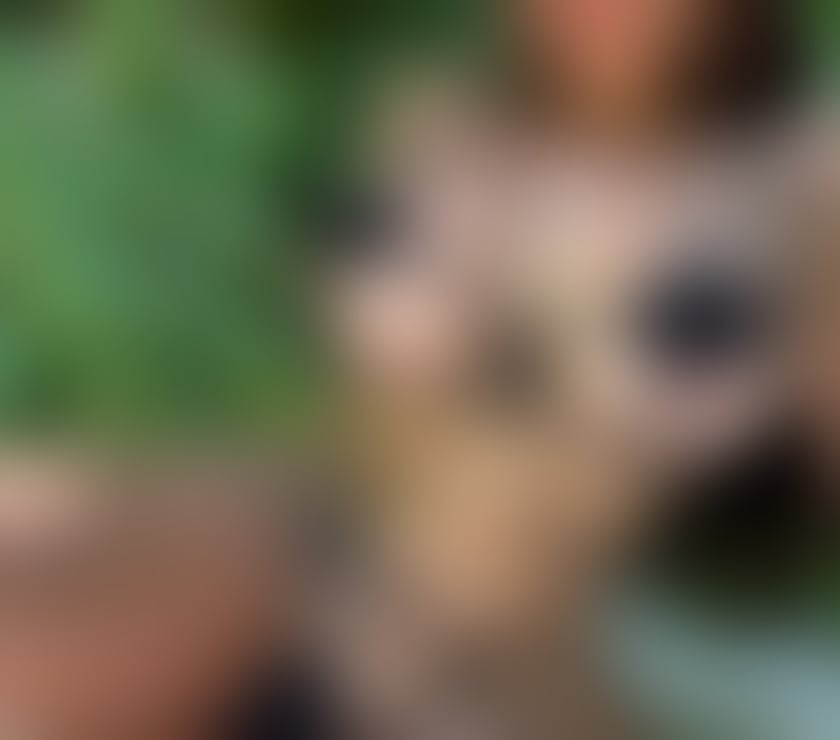 👅MELISSA HOT GIRL 🔥 PARTY LOVE ❤️‍🔥 A-LEVELS