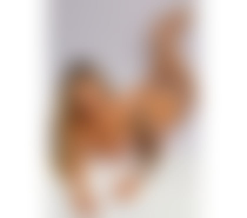 Escorts Buckinghamshire Aylesbury - Buckinghamshire - Photos for STELLA BEST IN TOWN!!!