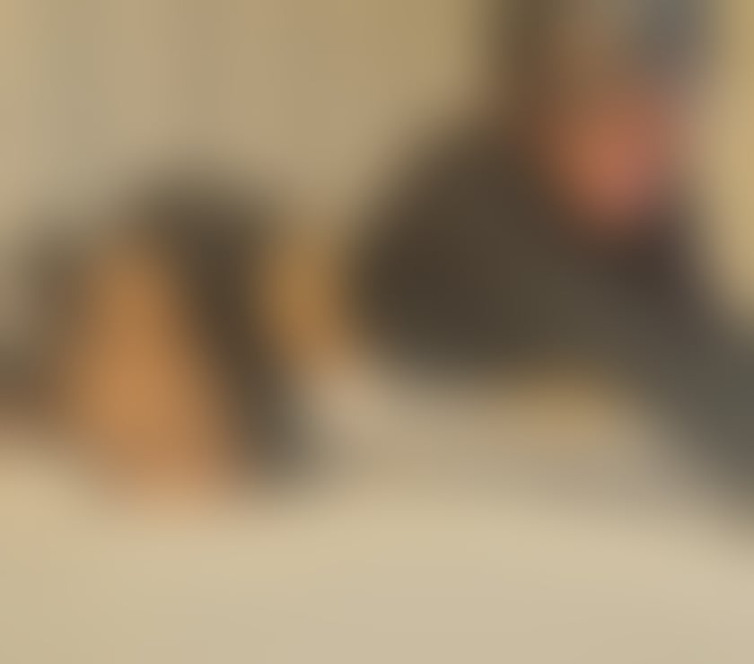 ✅️PARTY NEW✅️IN TOWN✅️BOOK NOW✅️