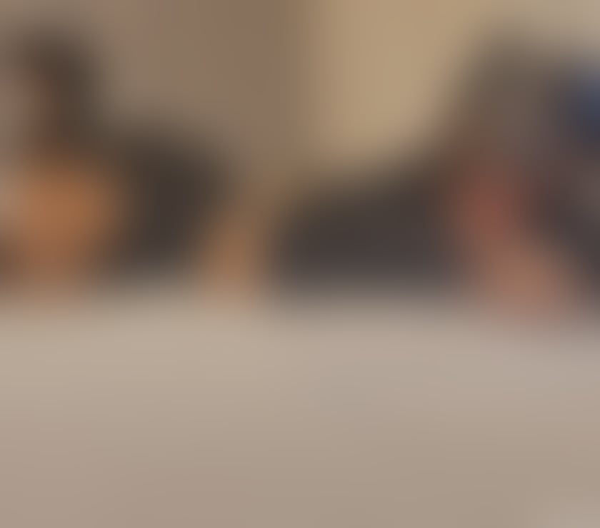 Escorts Dorset Bournemouth, Christchurch and Poole - Photos for ✅️PARTY NEW✅️IN TOWN✅️BOOK NOW✅️