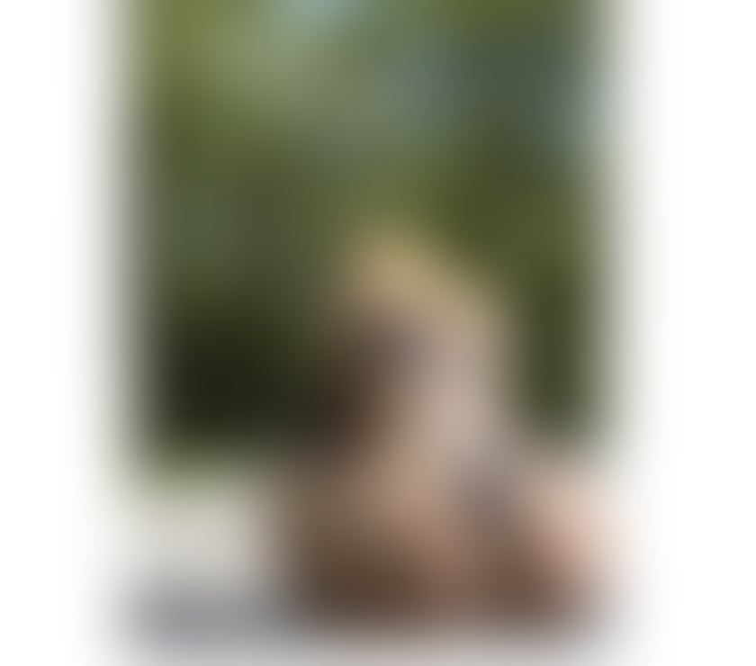 Escorts Kent Canterbury - Photos for CAMILLA 🇧🇷 BIG ASS 🍑♥️