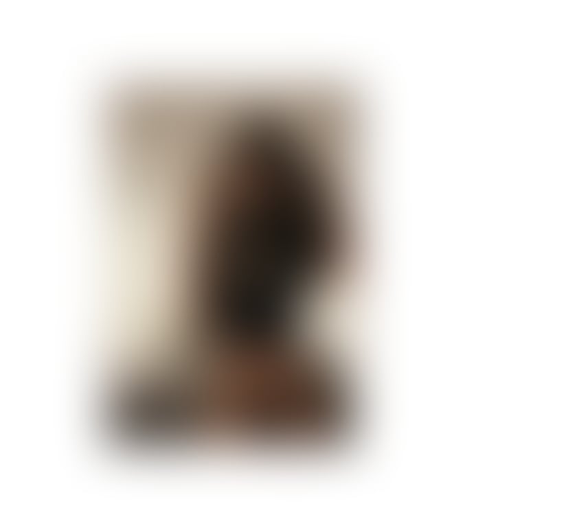 New Sexy Alice Ts 🇧🇷✨