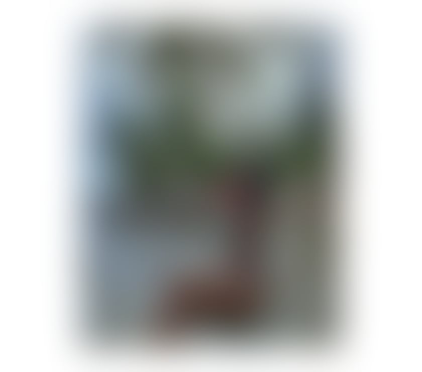 Escorts South East London Lewisham - Photos for 🔴🔴Party girl❤️ FULL SERVICE🔴🔴