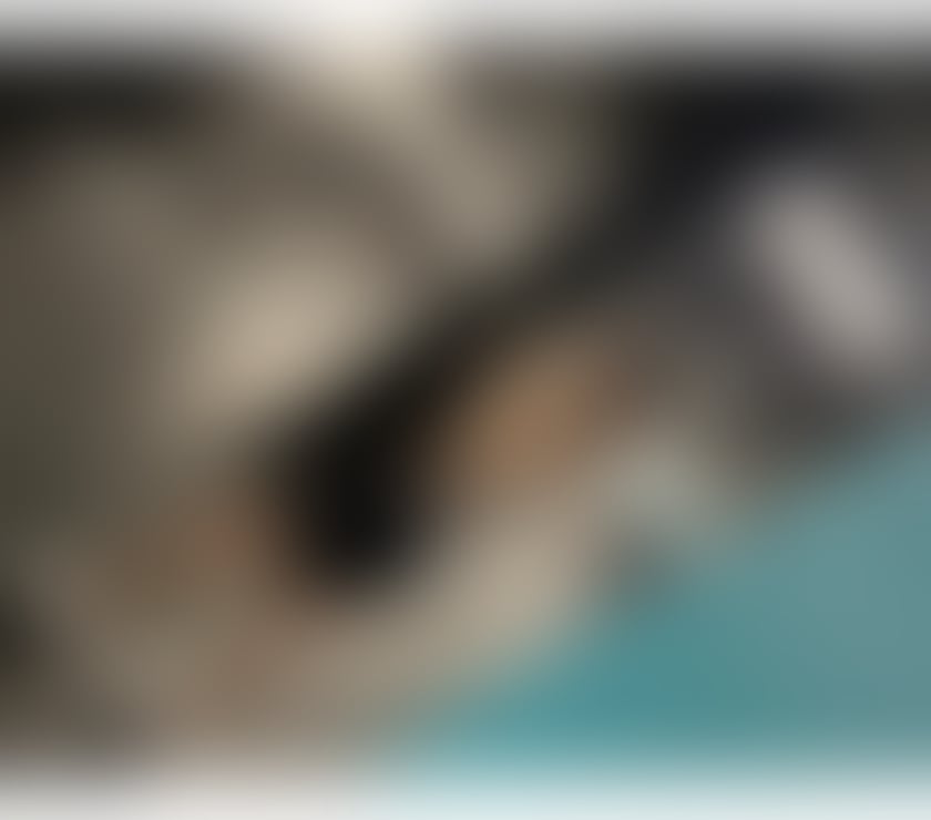 Escorts Greater Manchester Manchester - Photos for Brazilian 🔥 Party Girl 🔥 Big Ass 🇧🇷🍑