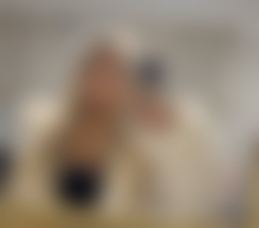 Escorts Stoke-on-Trent Newcastle-under-Lyme - Photos for 💋Available 24h💋💋Party Girl💋